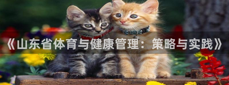 熊猫体育app官网入口