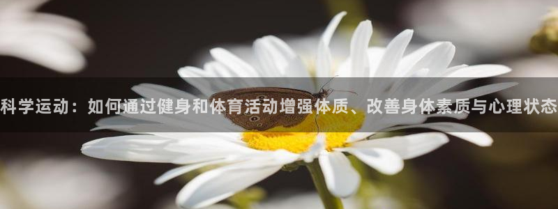 熊猫体育平台