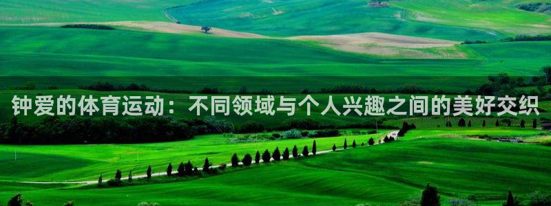 熊猫体育公园