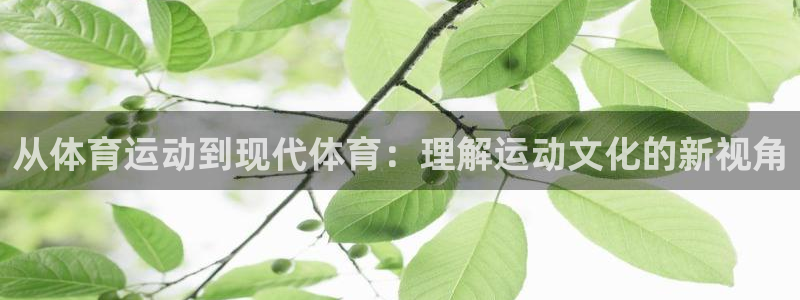 熊猫体育公园
