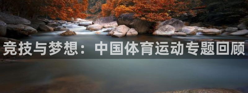 熊猫体育手机版