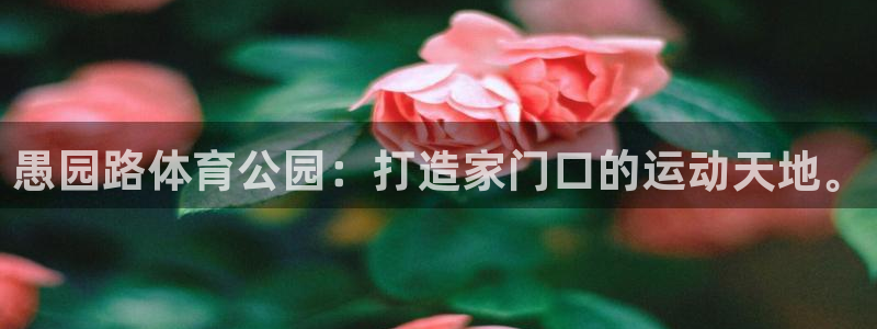 熊猫体育网址