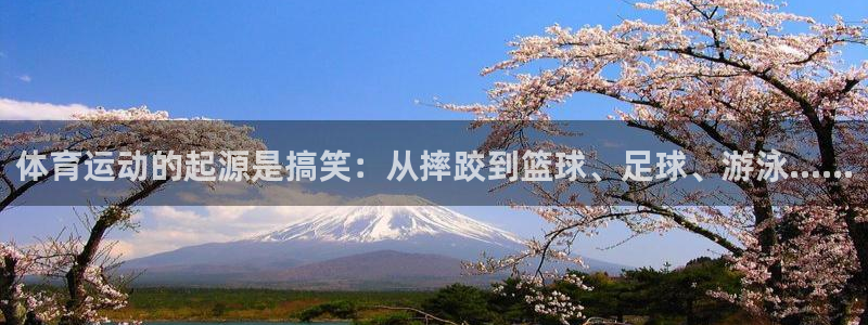 熊猫体育手机版下载