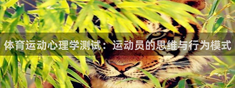 熊猫体育app官方入口：体育运动心理学测试：运动员的思维与行为模式