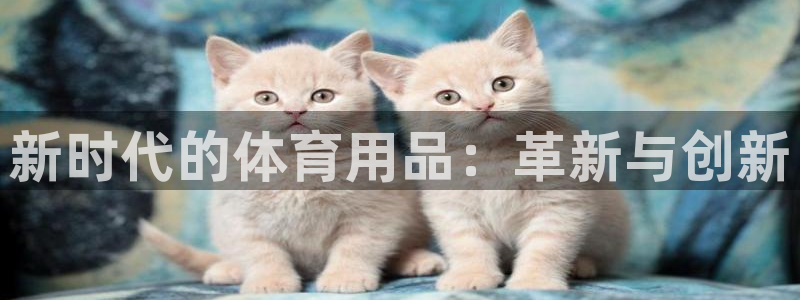 熊猫体育文化有限公司：新时代的体育用品：革新与创新