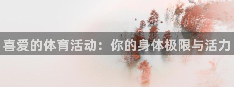 熊猫体育网址